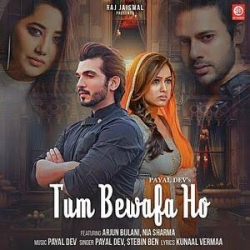 Tum Bewafa Ho - Stebin Ben, Payal Dev-(HindiSongMp3.In).mp3