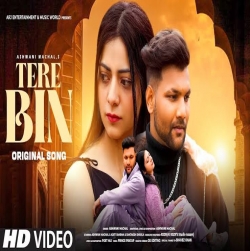 Tere Bin - Ashwani Machal-(HindiSongMp3.In).mp3