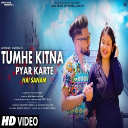 Tumhe Kitna Pyar Karte Hain Sanam-(HindiSongMp3.In).mp3