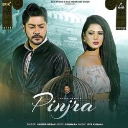 Pinjra Yasser Desai Mp3 Song Download PagalWorld