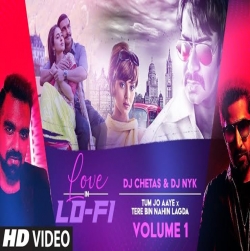 Tum Jo Aaye x Tere Bin Nahin Lagda - LoFi Remix Mp3 Song Download HindiSongMp3-(HindiSongMp3.In).Com