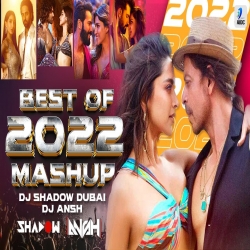 Best of 2022 Mashup - DJ Shadow Dubai x DJ Ansh Mp3 Download Various Artist-(HindiSongMp3.In).mp3