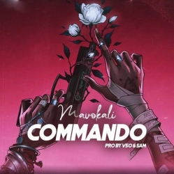 Commando Mavokali Mp3 Song Download PagalWorld-(HindiSongMp3.In).mp3