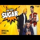 Sugar The Landers Mp3 Download-(HindiSongMp3.In)