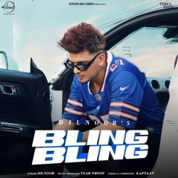 Bling Bling Dilnoor Mp3 Song Download-(HindiSongMp3.In).mp3