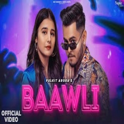Baawli Pulkit Arora Mp3 Song Download-(HindiSongMp3.In).mp3