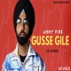 Gusse Gile Ammy Virk Punjabi Full Mp3 Song Download-(HindiSongMp3.In)