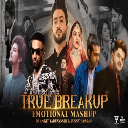 True Breakup Emotional Mashup 2023 - Sunny Hassan-(HindiSongMp3.In).mp3
