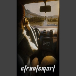 Street Smart Tyson Sidhu-(HindiSongMp3.In).mp3