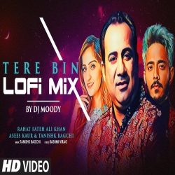 Tere Bin Lo Fi - DJ Moody-(HindiSongMp3.In).mp3