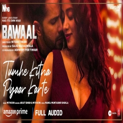 Tumhe Kitna Pyaar Karte (Bawaal) Arijit Singh-(HindiSongMp3.In).mp3