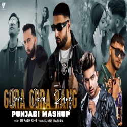 Gora Gora Rang X Punjabi Mashup - Sunny Hassan, DJ Rash King-(HindiSongMp3.In).mp3