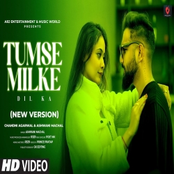 Tumse Milke Dil Ka (New Version) Cover Ashwani Machal-(HindiSongMp3.In).mp3